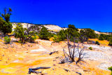 Upper Calf Creek Falls Trail