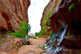 Water Canyon