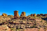 Photos/Images de Canyonlands National Park - The Needles Photos/Images de Canyonlands National Park - The Needles