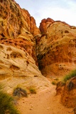Cohab Canyon