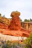 Hoodoo dans Cohab Canyon