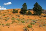 Coral Pink Sand Dunes SP