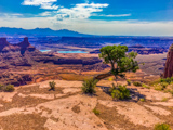 Dead Horse Point Overlook (vue Est)