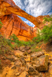 Escalante Natural Bridge