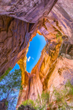 Escalante Natural Bridge