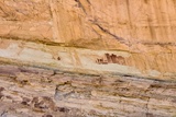 Temple Mountain Wash Pictograph Panel