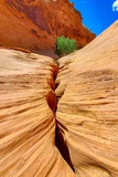 Slot Canyon, vu d'en haut