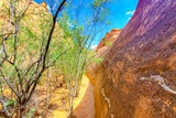 Leprechaun Canyon Trail