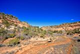 South Fork of Mule Canyon