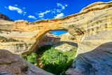Natural Bridges National Monument