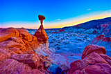 Toadstool Hoodoo