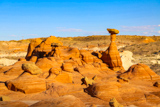 Toadstool Hoodoo