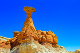 Toadstool Hoodoo