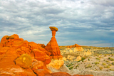 Toadstool Hoodoo