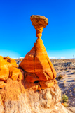 Toadstool Hoodoo
