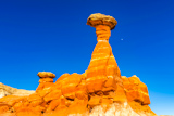Toadstool Hoodoo