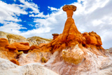 Toadstool Hoodoo