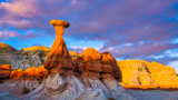 Toadstool Hoodoo