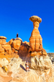 Toadstool Hoodoo