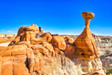 Toadstool Hoodoo
