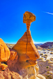 Toadstool Hoodoo