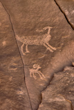 Poison Spider Petroglyphs