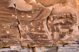 Poison Spider Petroglyphs