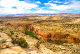 Calf Creek Viewpoint