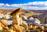 Big Hoodoo
