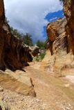 Willis Creek, d&eacute;but du trail