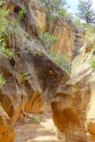Willis Creek Slot Canyon