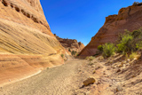 Zebra Slot Canyon Trail