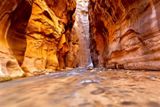 Photos/Images de Zion Canyon - Zion National Park