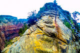 Angels Landing Trail
