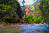 The Narrows