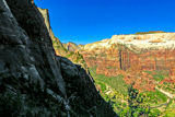 Observation Point Trail