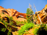 Kolob Arch