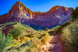 Watchman Trail
