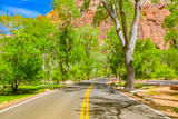 Zion Canyon Road
