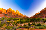 Watchman Trail