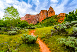 Kolob Arch Trail