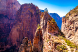 Angels Landing Trail