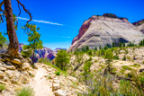 West Rim Trail