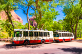 Zion Canyon Shuttle