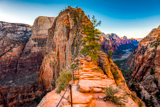Angels Landing Trail