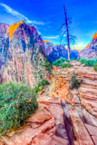 Angels Landing Trail