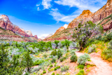 Watchman Trail