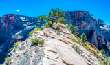 Angels Landing