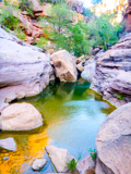 Pine Creek Canyon