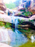 Pine Creek Canyon